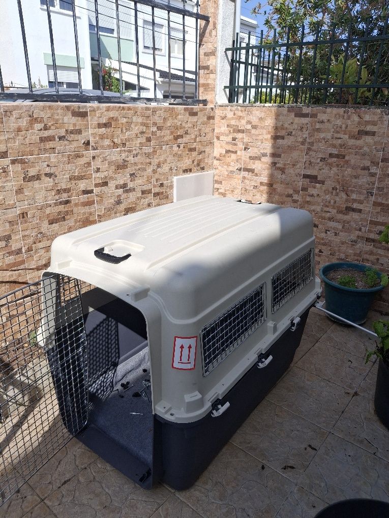 Caixa transporte cão  xxl
