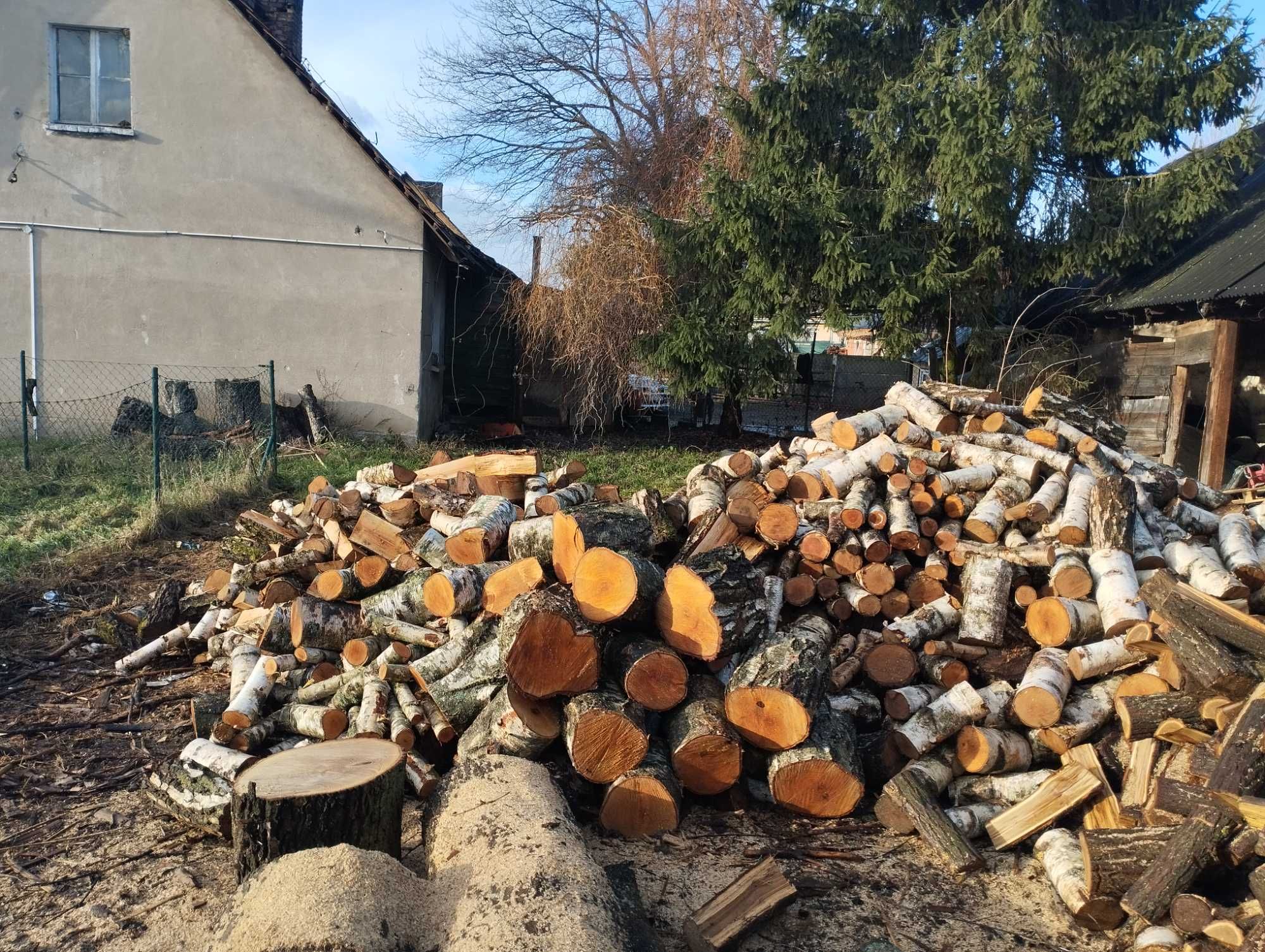 Wierzba olcha brzoza OPAL liściasty kominkowy w klockach