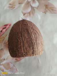 Скорлупа Кокосового ореха