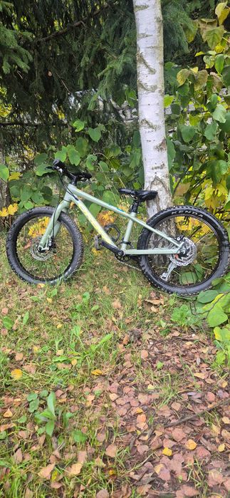 Orbea MX 20 Team disc