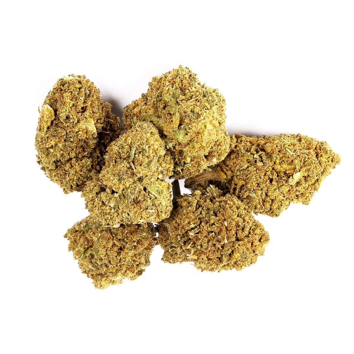 50G Susz konopny CBD JACK HERRER 30% Producent Szwajcaria