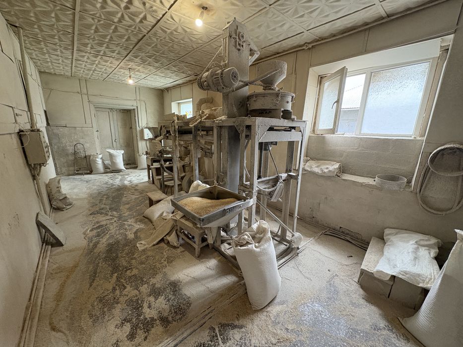 Діючий бізнес. Діюча комплексна свиноферма