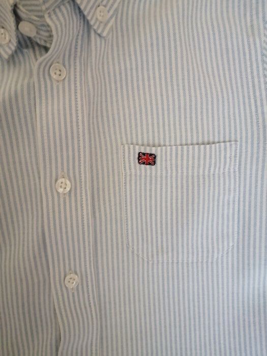 Camisa lion of porches
