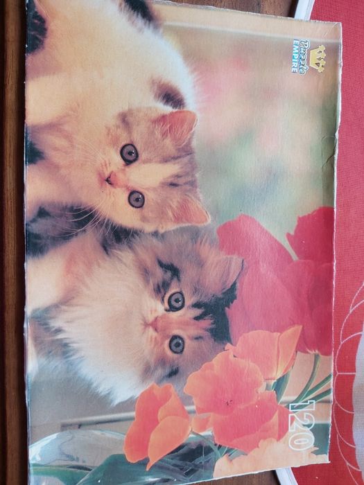 2 Puzzles Gatinhos c/ 240 Peças (Completo)