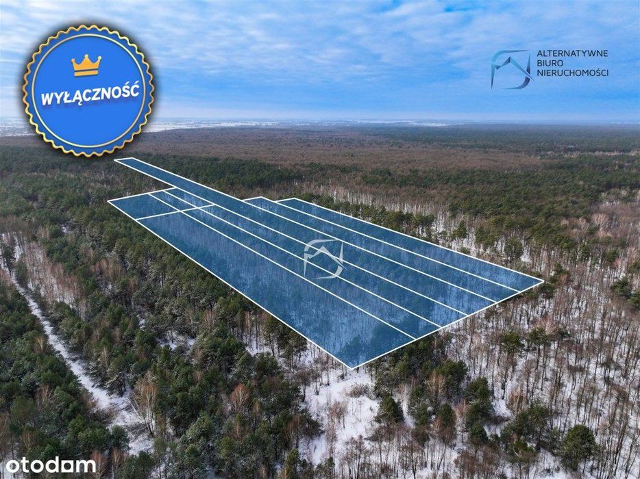Teren inwestycyjny - Lasy Kozłowieckie - Nowy Sta