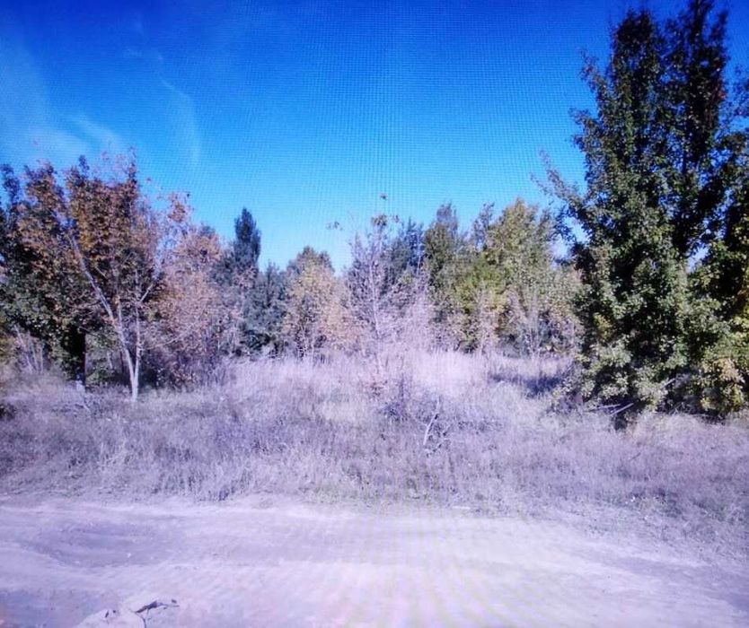 Земельна ділянка під забудову 10 соток у с. Музичі