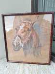 Głowa konia-pastel-Kraków-1945r