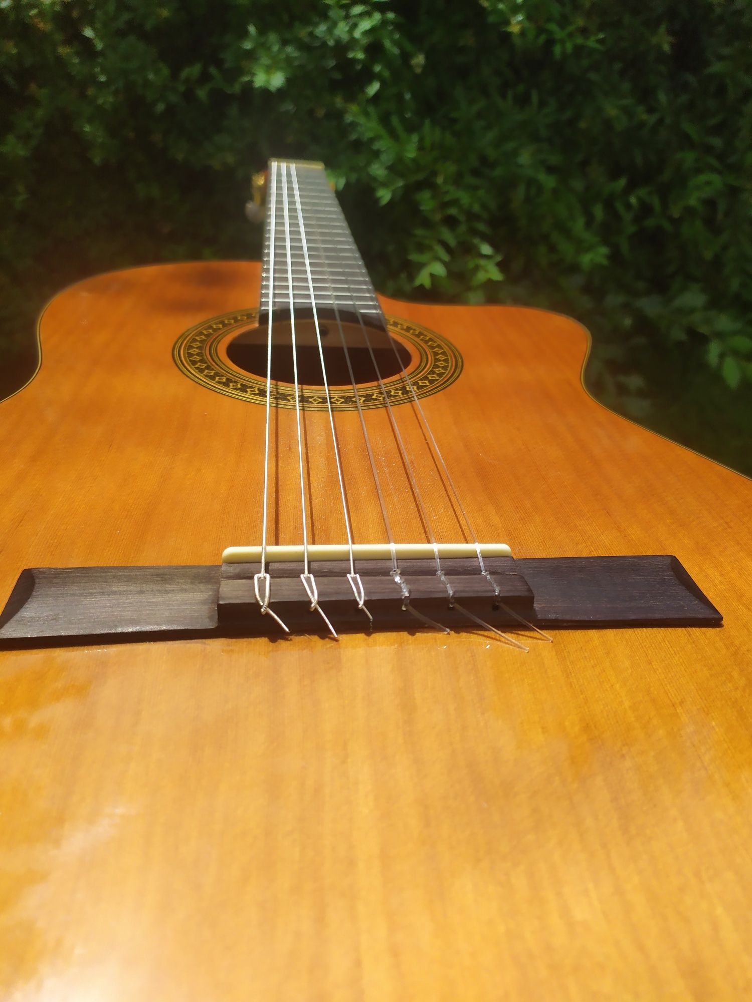 Gitara elektroklasyczna Salvador Cortez