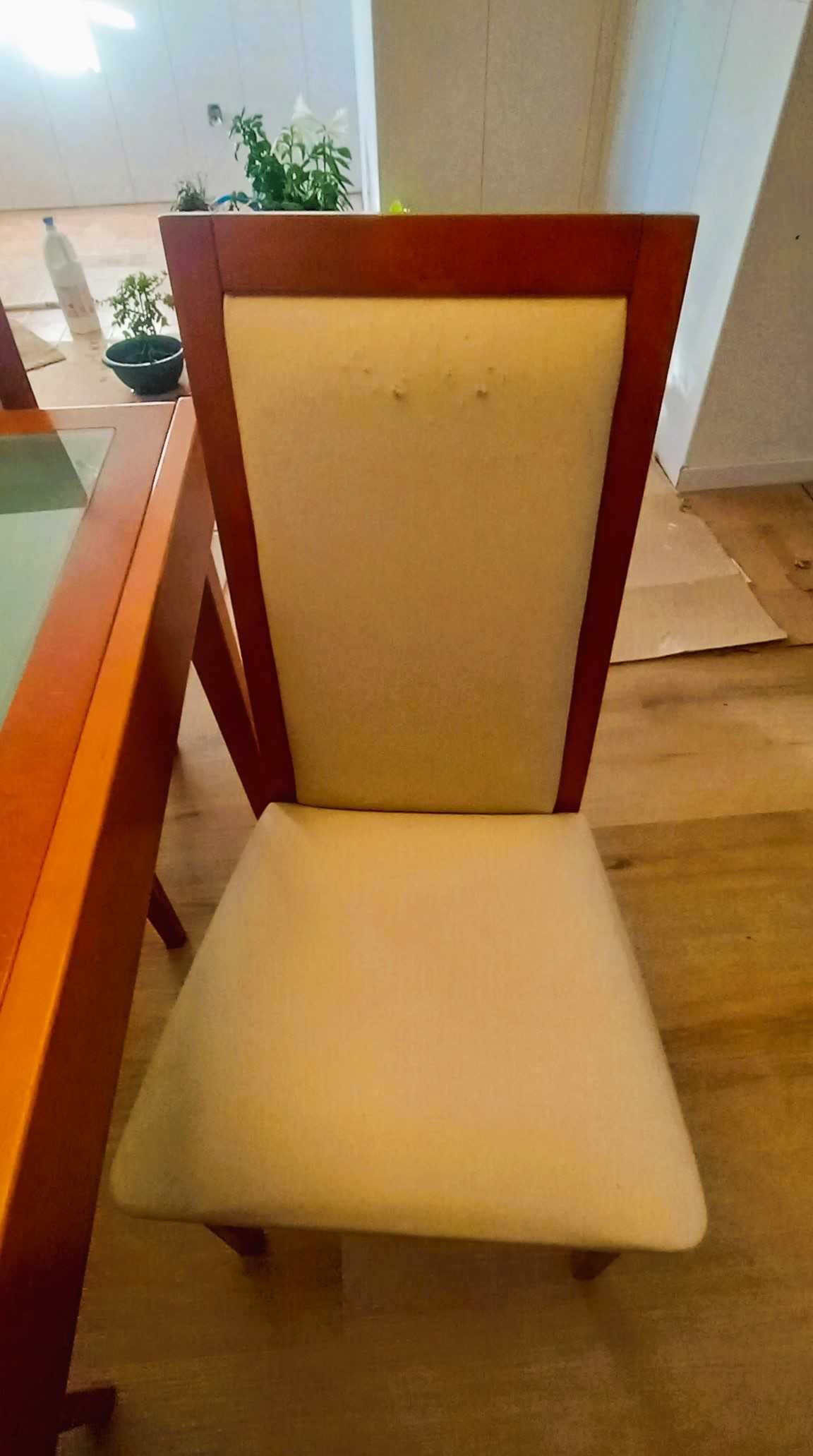 Mesa e Cadeiras de Sala de Jantar