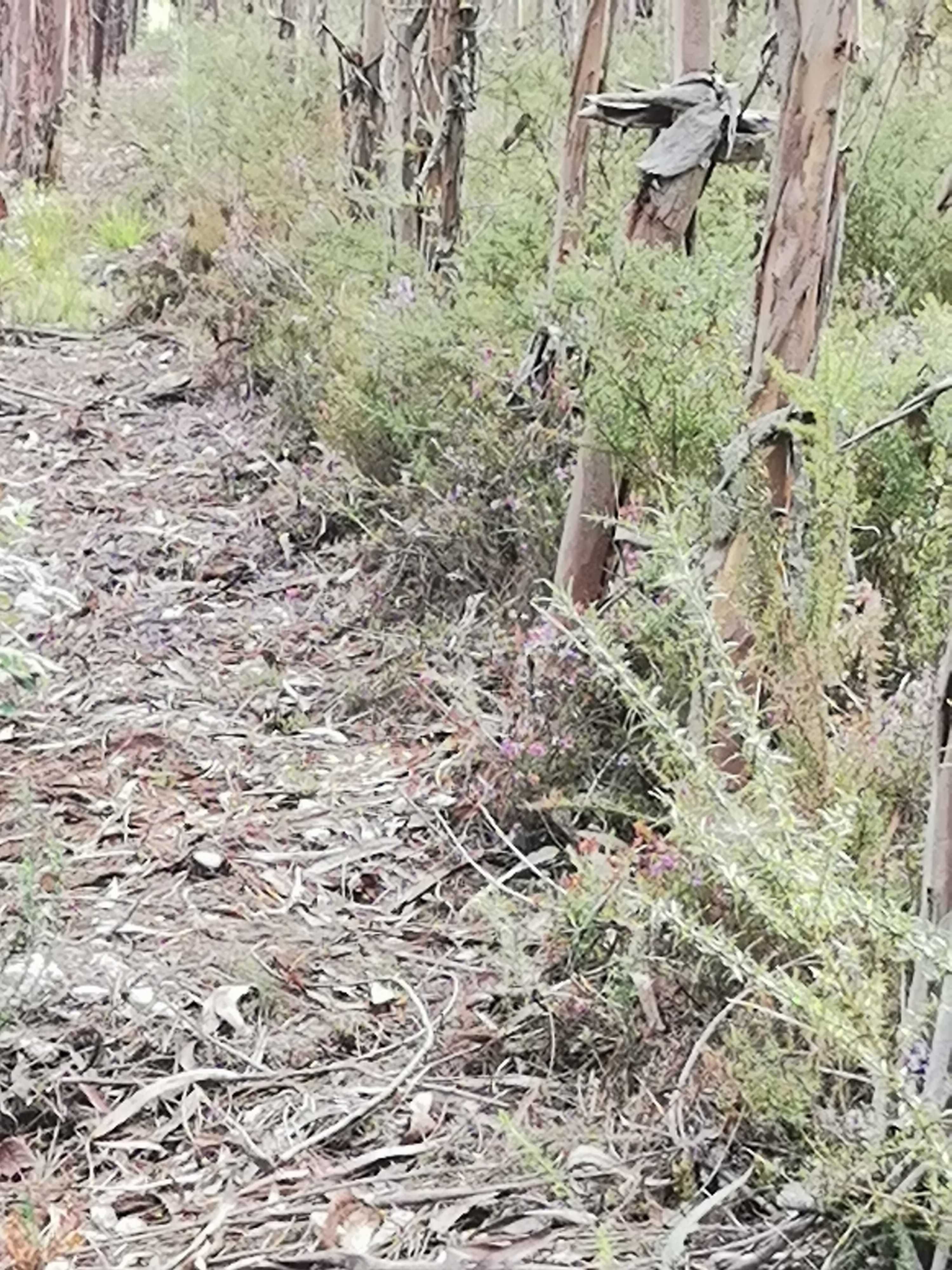 Terreno em área urbana