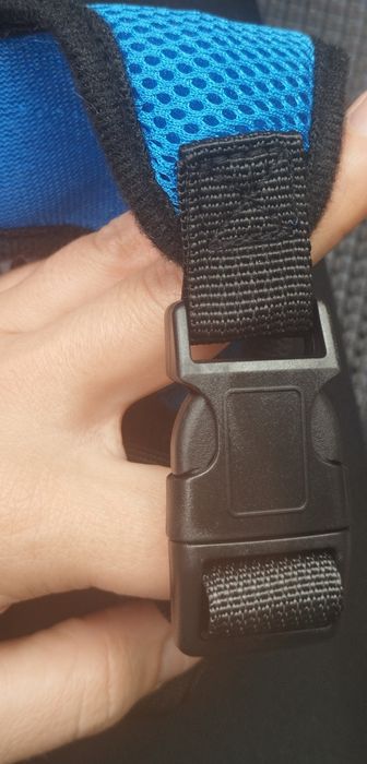 Arnês com trela gato