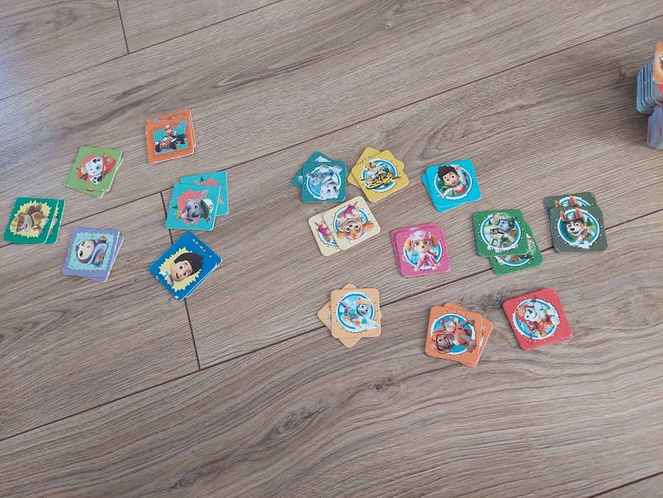 Psi Patro memory i domino 3+