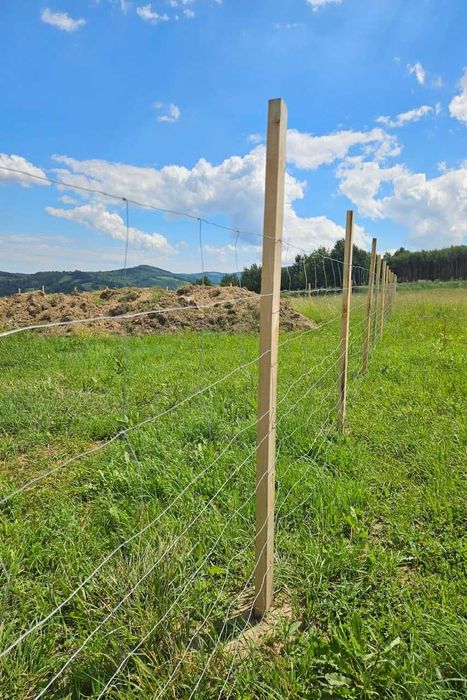 Kantówka tarcica dąb na płot ogrodzenie 5x10 długość 2,5m