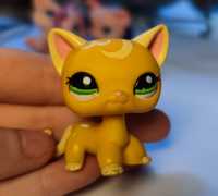 Lps shorthair pop