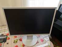 Монитор 22" Eizo FlexScan EV2216W 1680x1050 TN+film LED