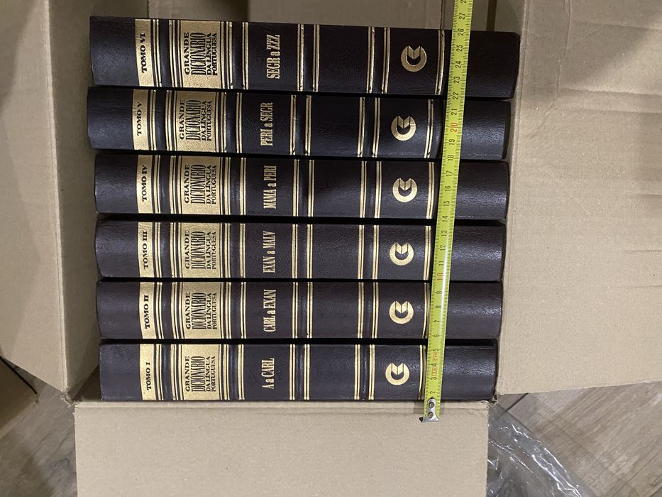 Dicionario portugues 6 volumes