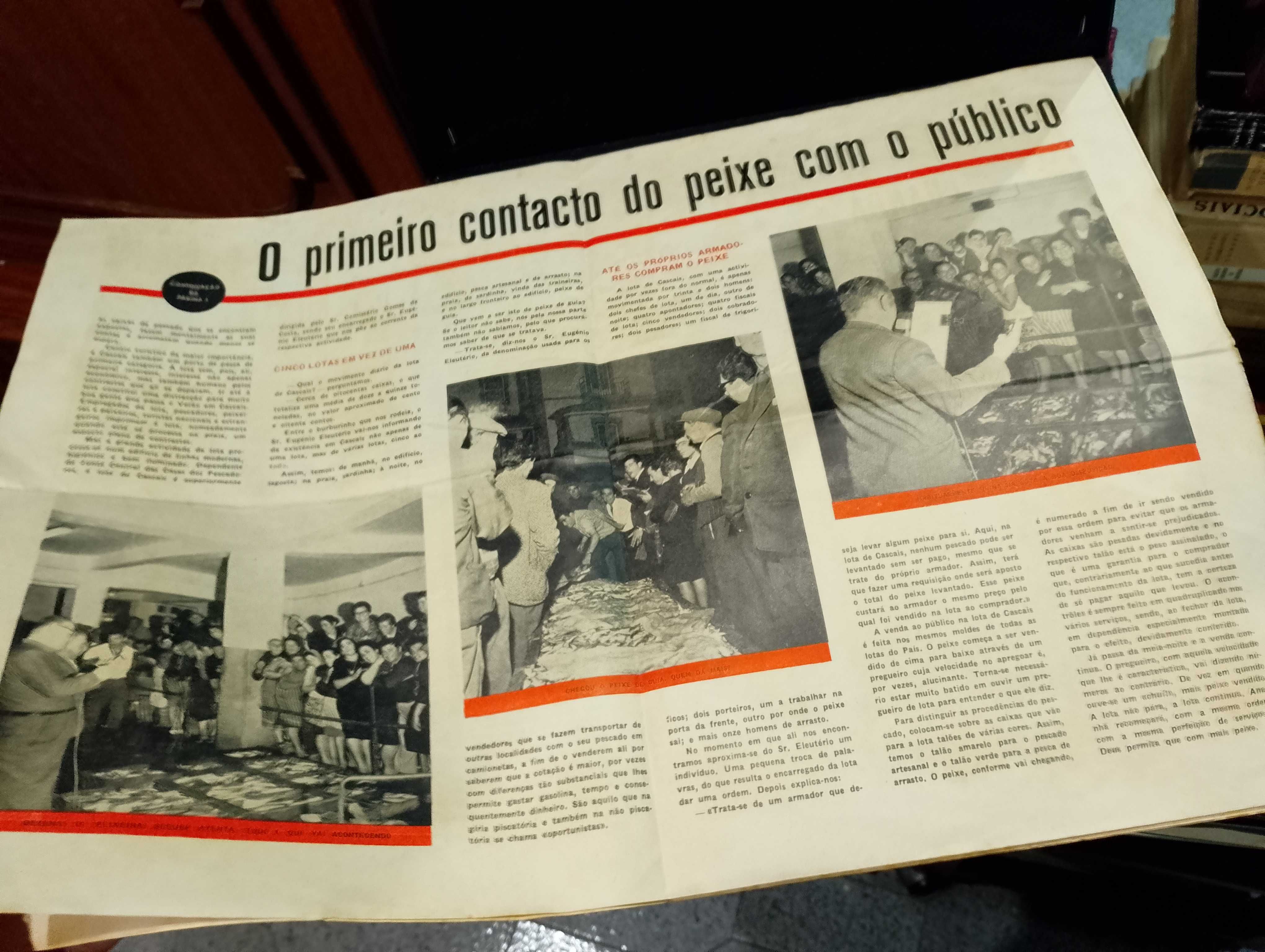 Jornal O Peixe "Lisboa" nº3 de 1967