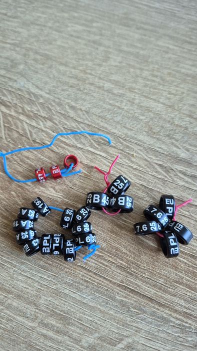 Obrączki dla papug 2025rok  23sztuki