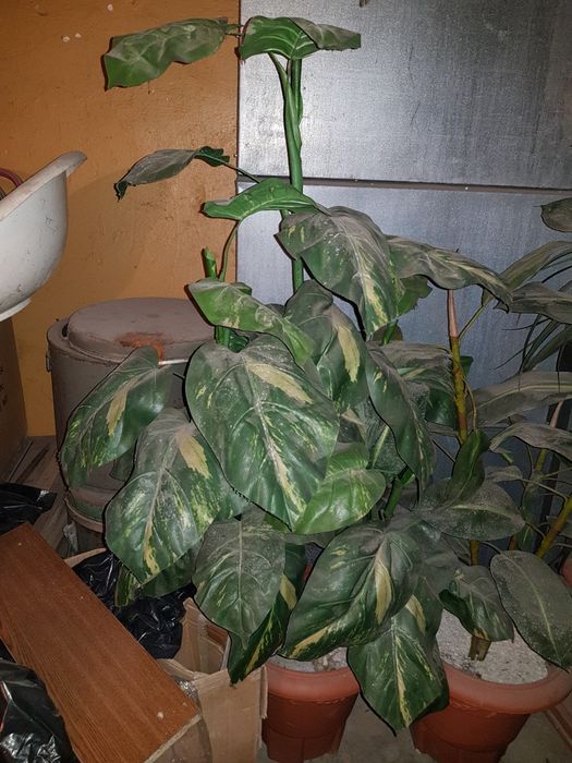 Sztuczne Kwiaty drzewka