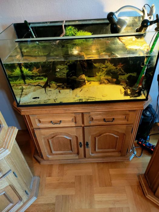 Komplet mebli dębowych PIECHOWICE.Witryna narożna komoda szafka pod TV