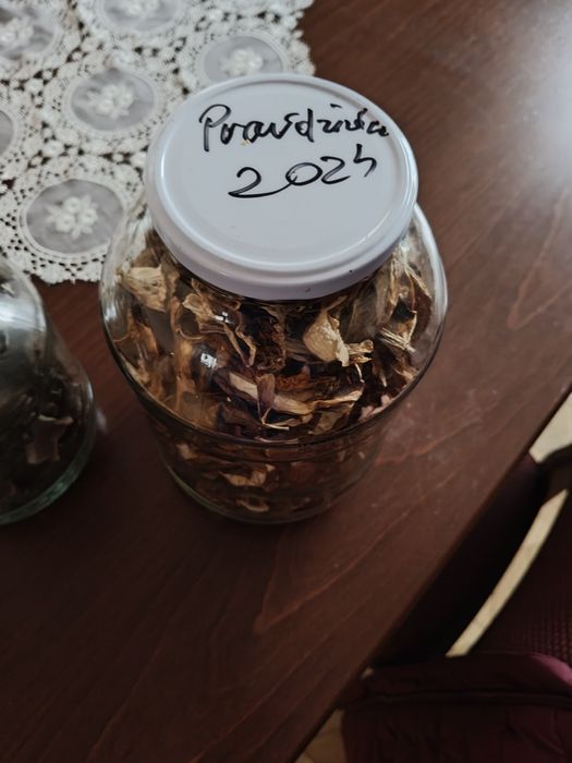 Grzyby suszone podgrzybki mieszane borowik