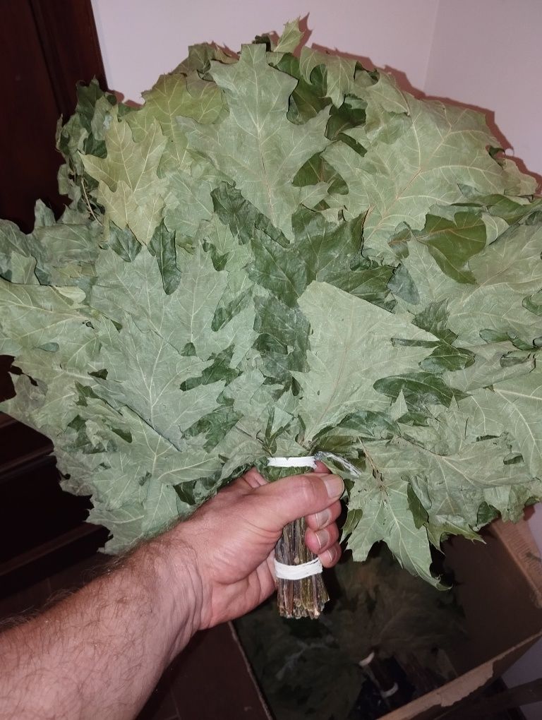 Банька Ладушка, продам  банные веники,  сами парим, товар класс