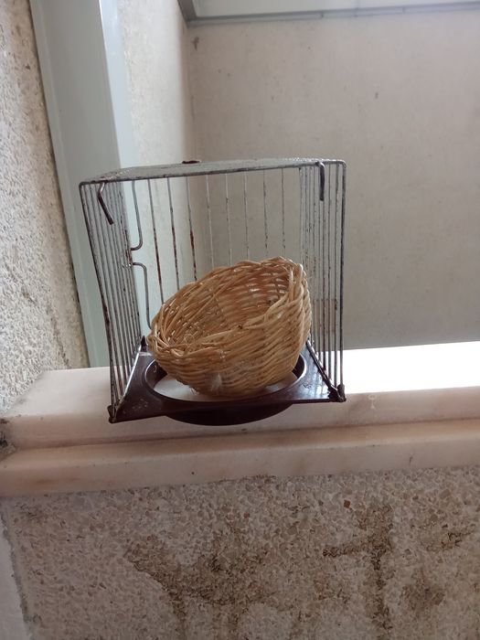 Ninho para canários