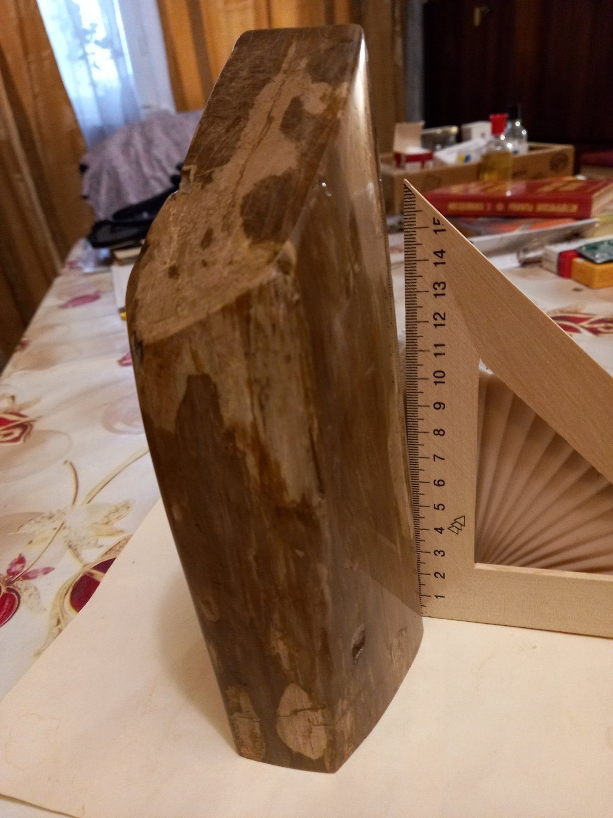 Продам окаменелое дерево из коллекции