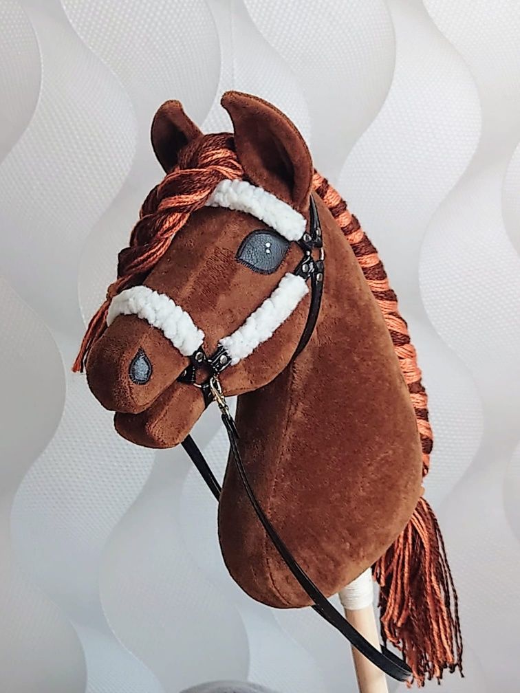 Hobby horse konik