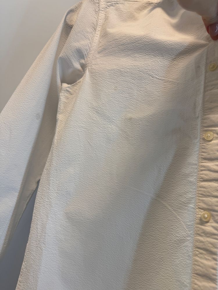 Koszula massimo dutti s