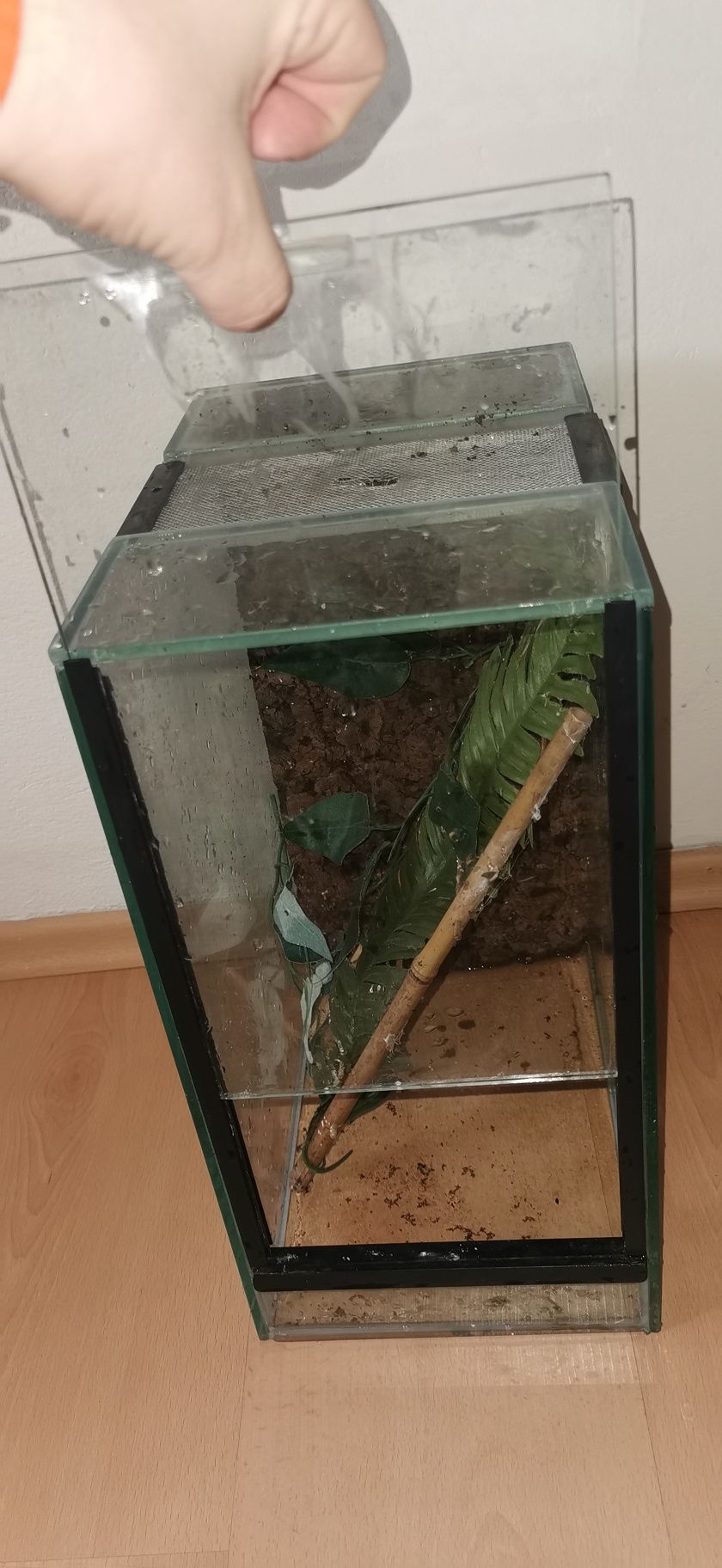 Terrarium na pająka gekona lub inne egzotyczne zwierzę 40x 30x 20