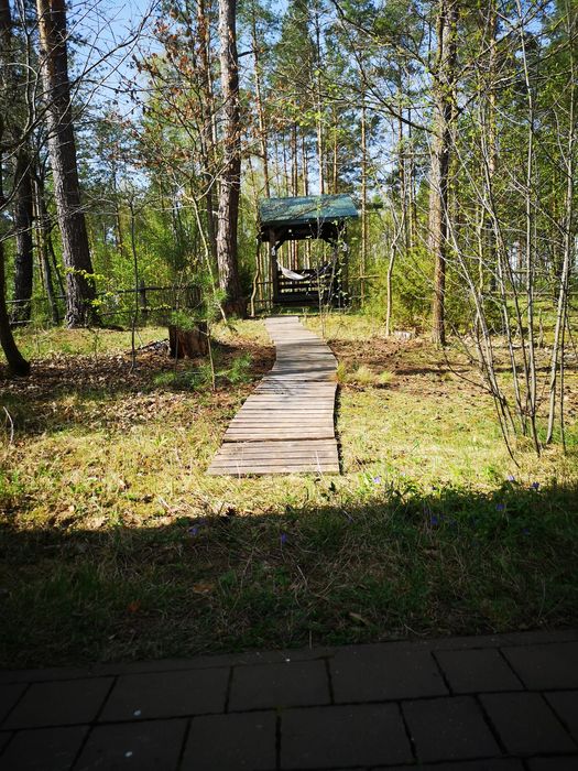 Domek pod lasem podlaskie zwolnił się termin Święta Bożego Narodzenia