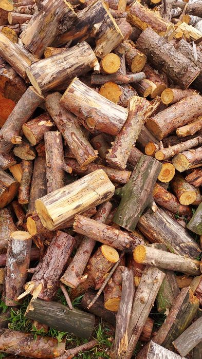 Drewno opałowe gałęziówka