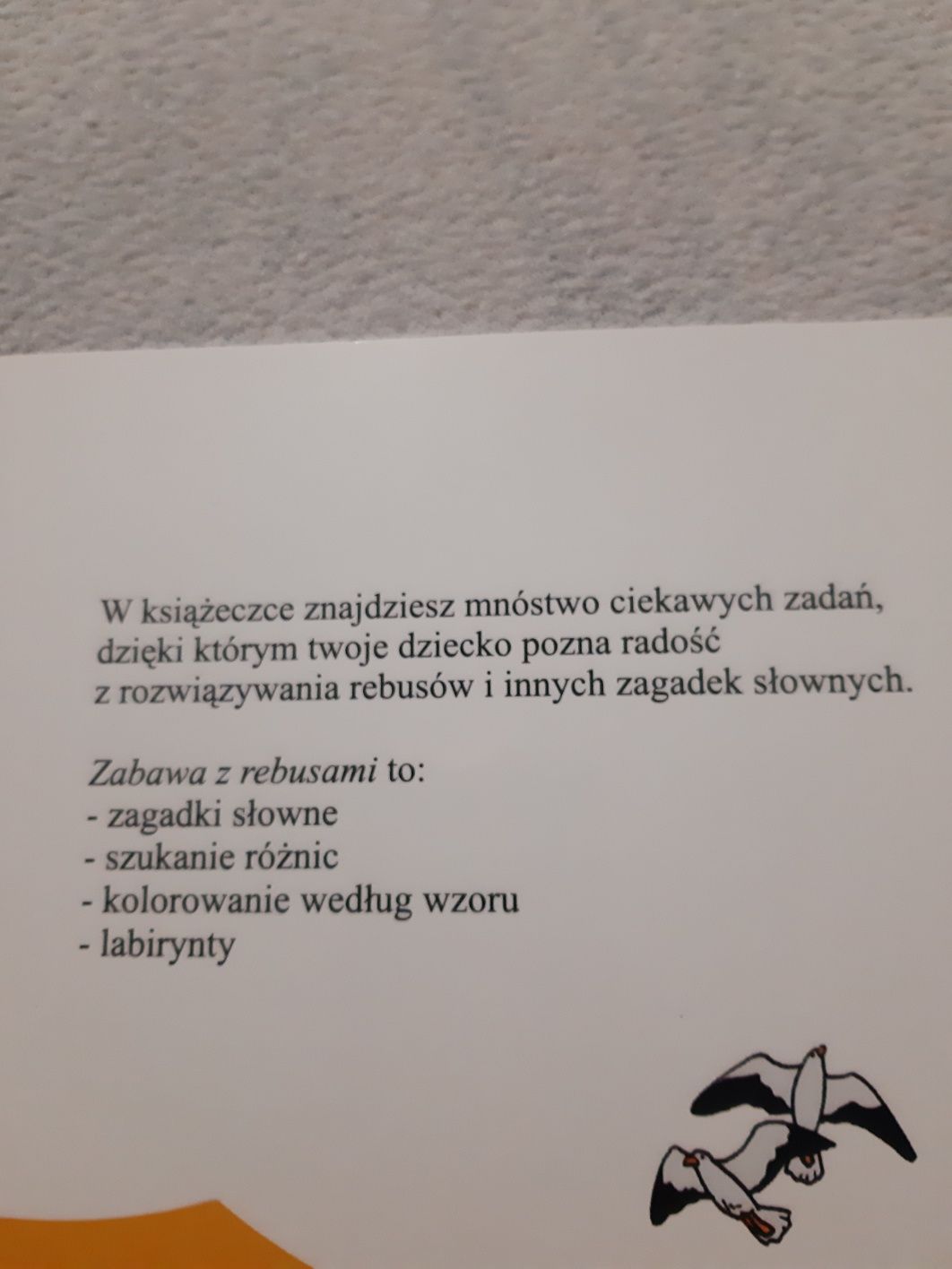 Książeczka zabawa z rebusami