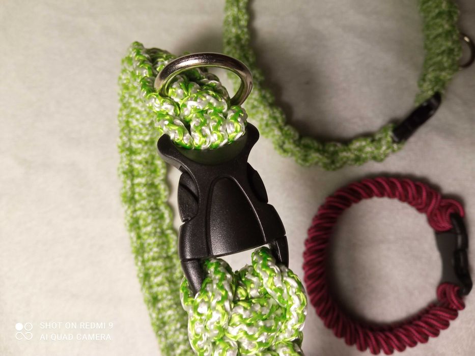 Ошейники для собак и кошек