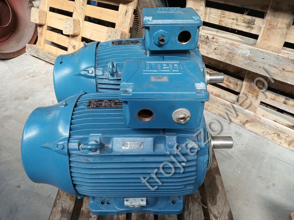 Silnik elektryczny 45 kW 55 kW 75 kW 700 obr 900 obr 1400 obr 2900 rpm