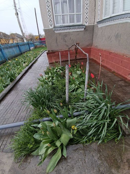 Продається будинок в м.Заліщики.