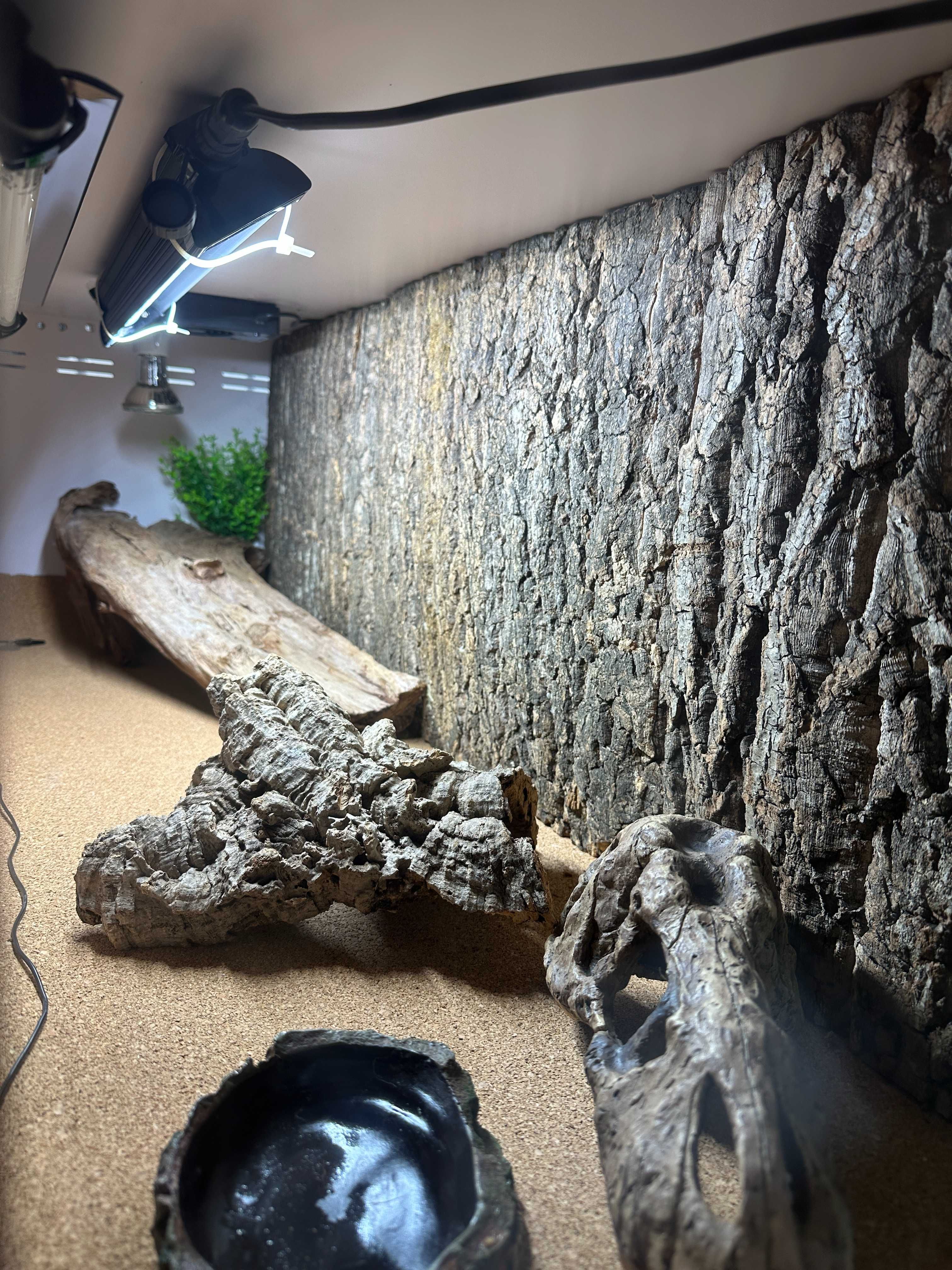 Terrario pvc 120x40x40cm completo, extras, UVB e LED Bluetooth, heat
