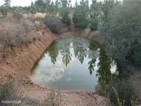 Quinta T1 para venda