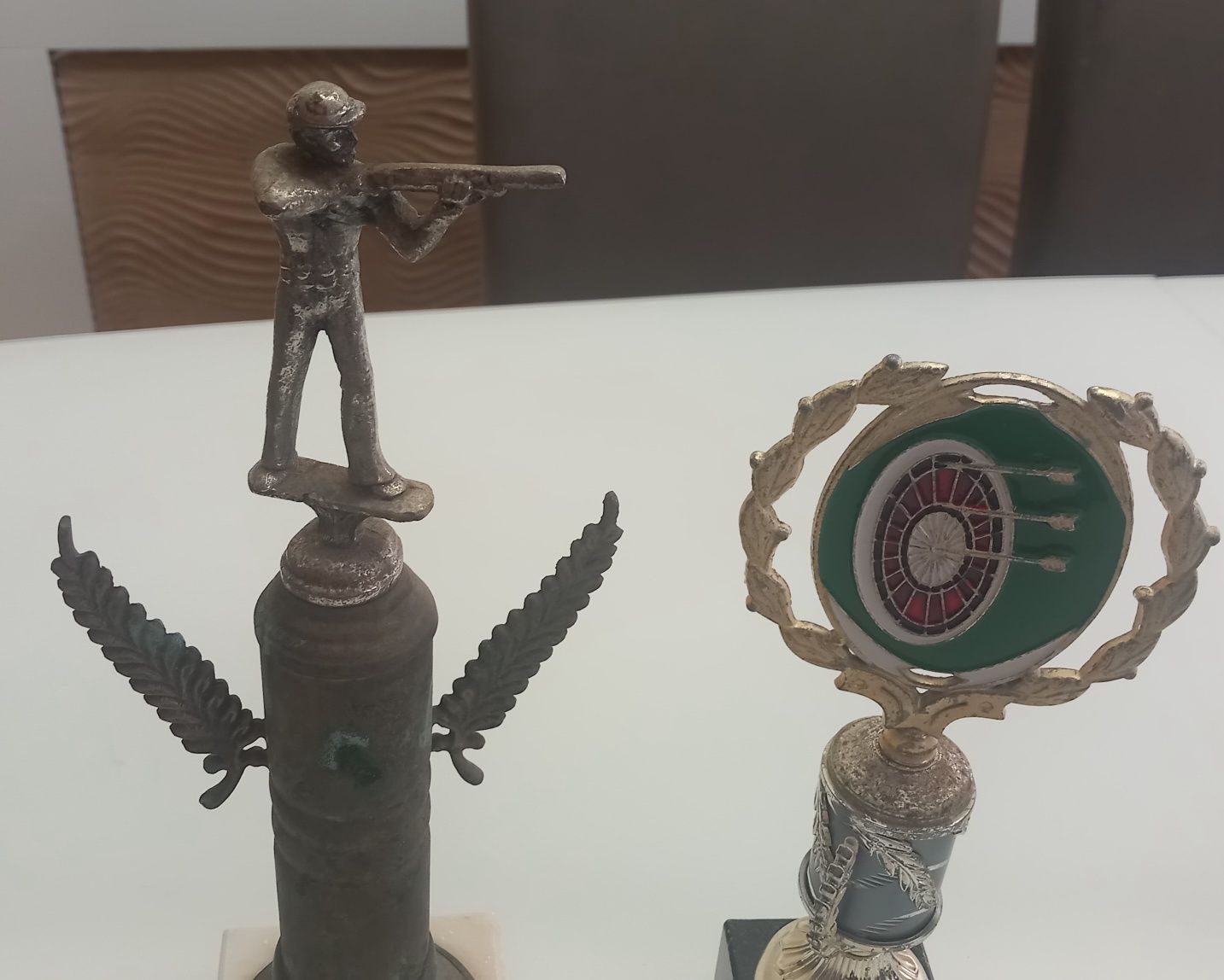 Trofeus de caça e dardos