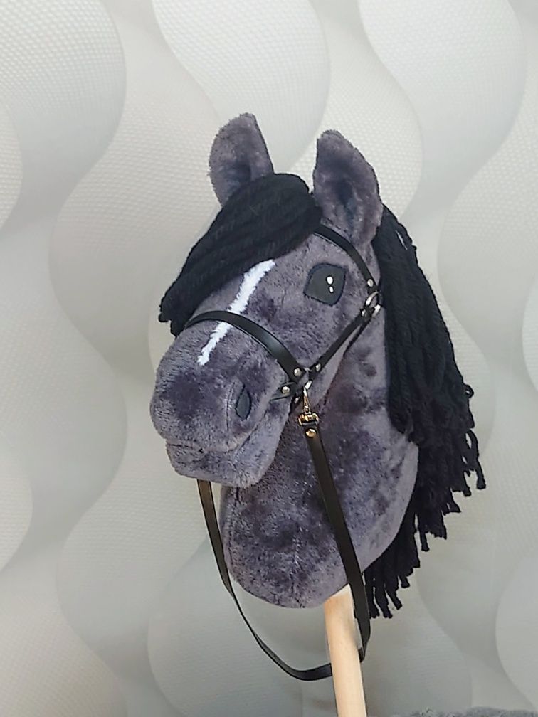 Hobby horse konik