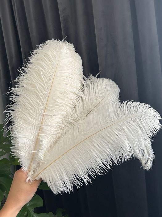 Pióra białe i czarne  naturalne strusie 45-50cm, pióropusze