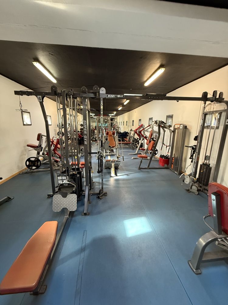 Vendo equipamento musculação profissional