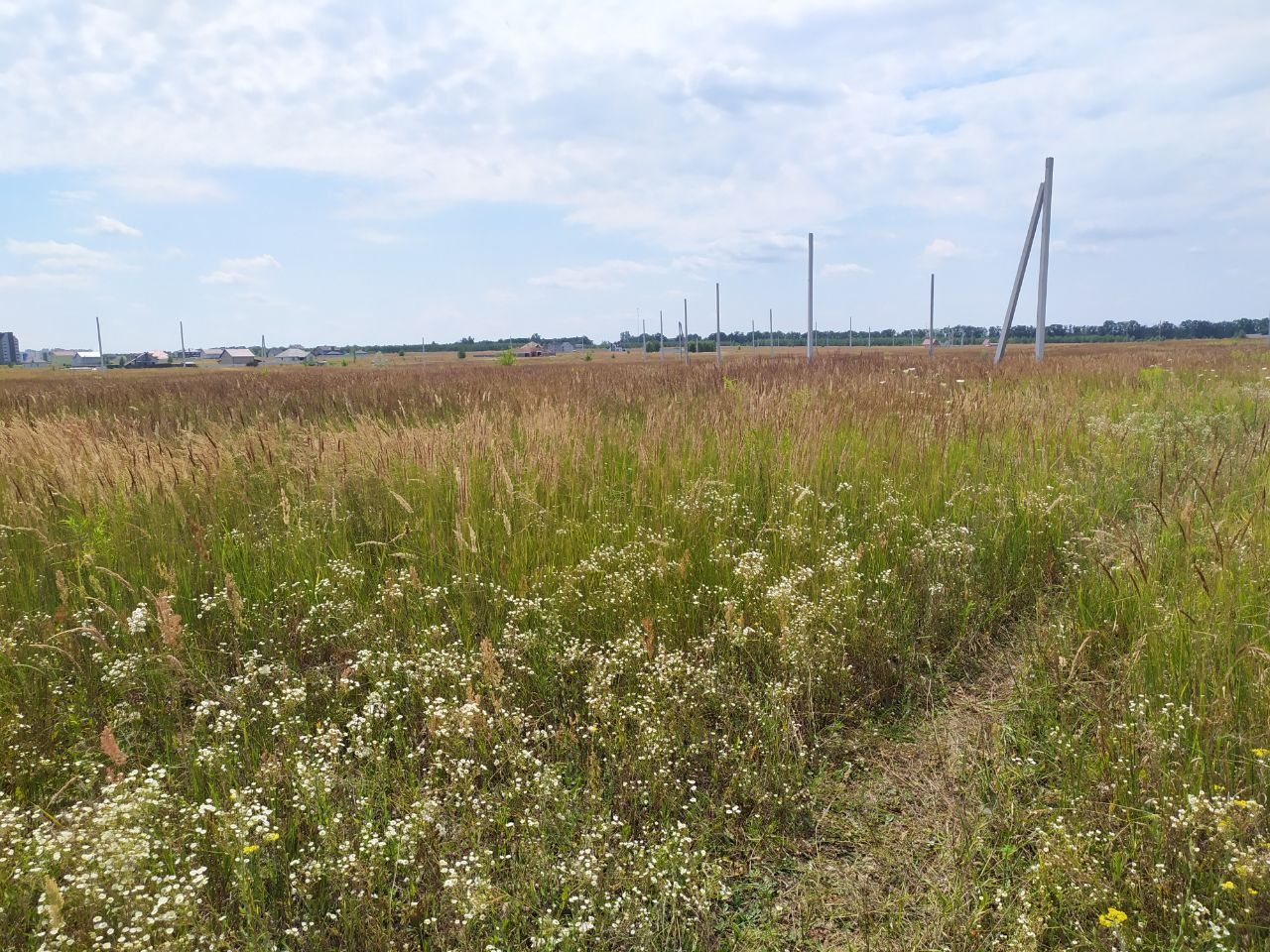 Продам земельну ділянку від власника 
Земельна ділянка  для  будівни