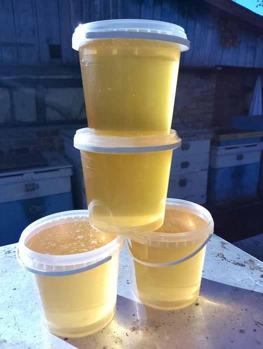 Мед акація натуральний 2025 року з власної пасіки