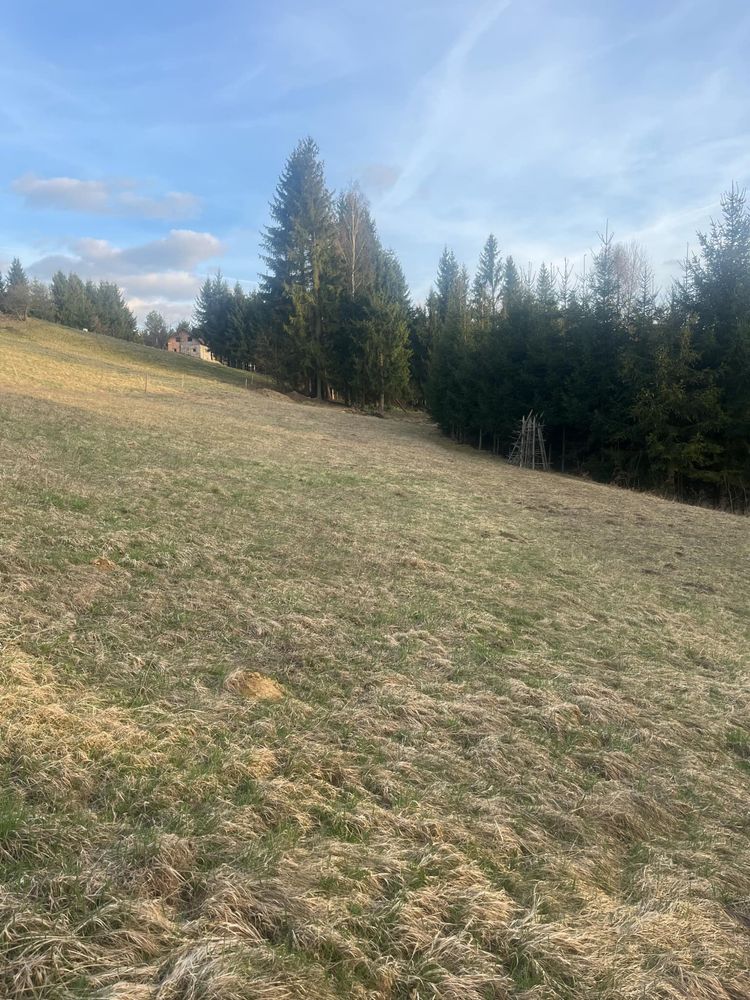 Działka rolno-budowlana Istebna Las