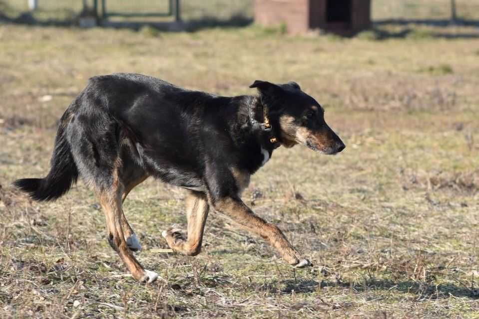 Rafia - ciekawa świata, choć jeszcze troszkę zdystansowana