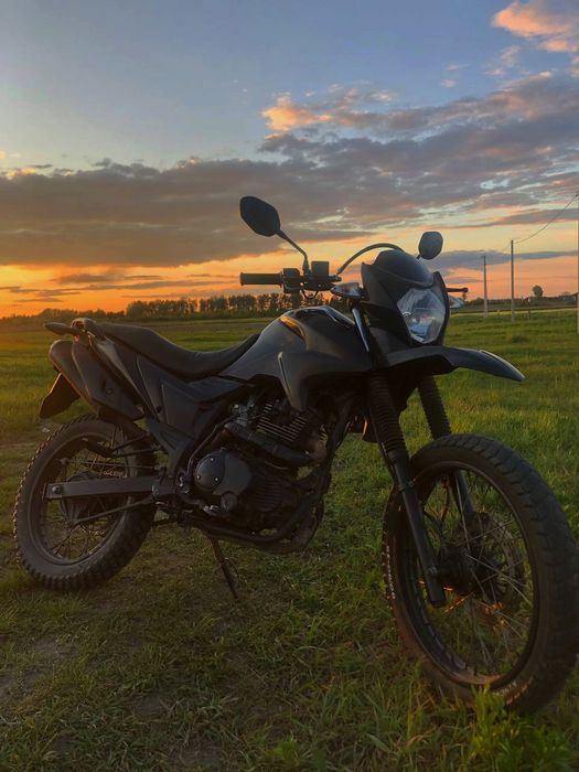 Продам лонсін прус 200, писати,не звонити