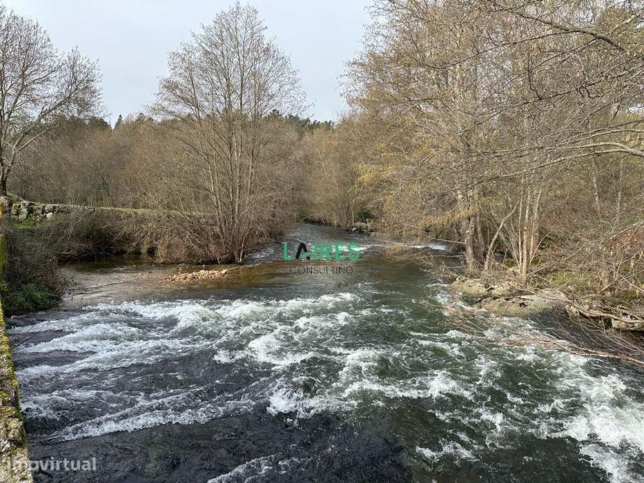 Terreno situado nas margens do Rio Dão