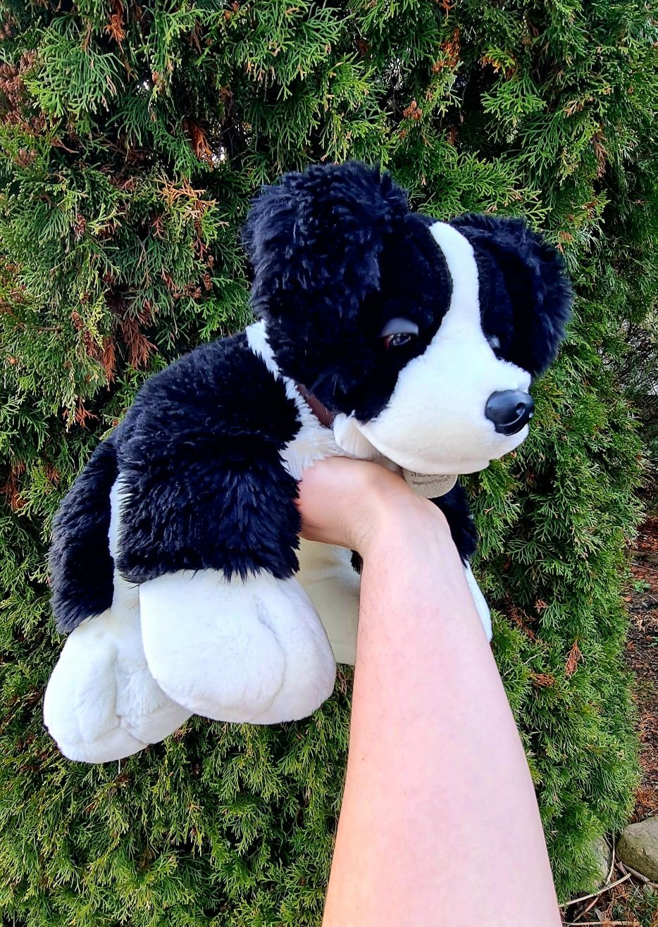 Duży Piękny Miś Pluszowy Pies Border collie Merry Keel Toys